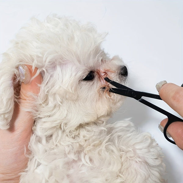 Pet Hair Remove Brush For Hair Removal And Grooming - Mojo
