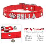 Puppy Dog Collars Personalized - Mojo
