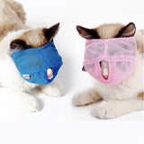 Cats muzzles - Mojo