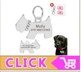 Puppy Dog Collars Personalized - Mojo