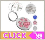 Puppy Dog Collars Personalized - Mojo