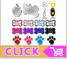 Puppy Dog Collars Personalized - Mojo