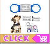 Puppy Dog Collars Personalized - Mojo