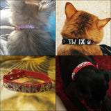 Puppy Dog Collars Personalized - Mojo