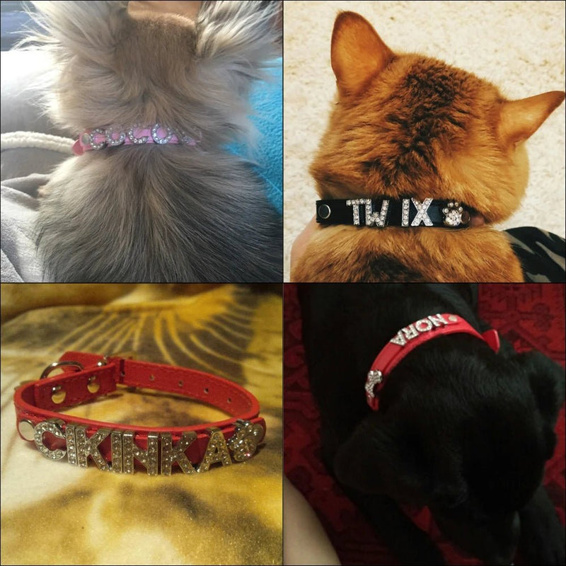 Puppy Dog Collars Personalized - Mojo
