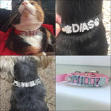 Puppy Dog Collars Personalized - Mojo