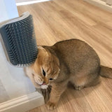 Cat scratcher - Mojo