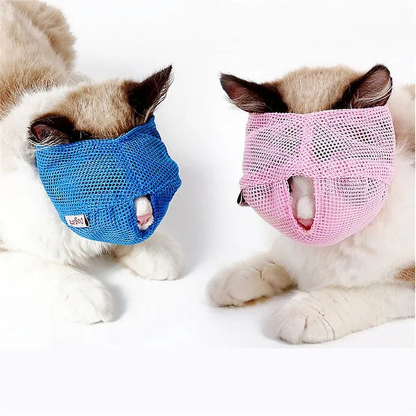 Cats muzzles - Mojo