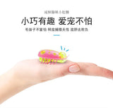 Pet Interactive Mini Electric Bug Cat Toy - Mojo