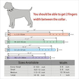 Puppy Dog Collars Personalized - Mojo