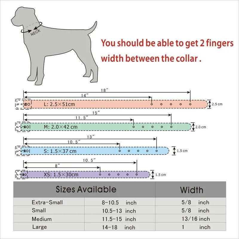 Puppy Dog Collars Personalized - Mojo