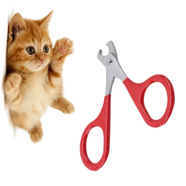 Puppy nail cutter - Mojo