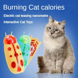Pet Interactive Mini Electric Bug Cat Toy - Mojo