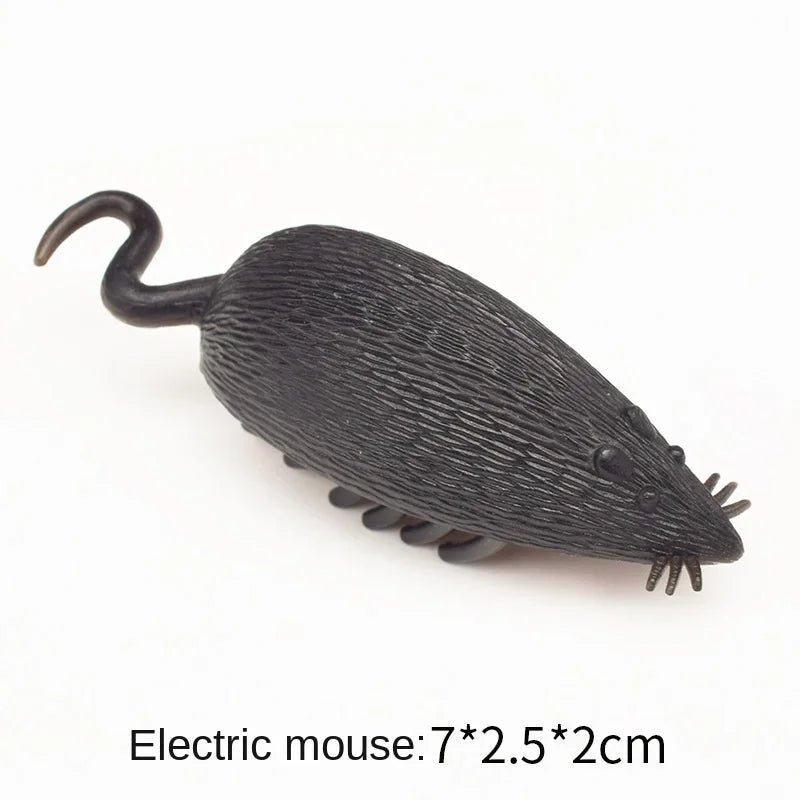 Pet Interactive Mini Electric Bug Cat Toy - Mojo