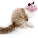 Cats muzzles - Mojo