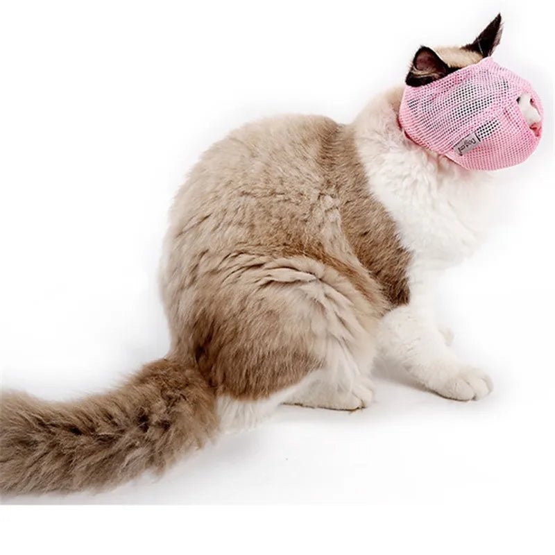 Cats muzzles - Mojo
