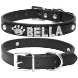Puppy Dog Collars Personalized - Mojo