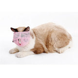 Cats muzzles - Mojo
