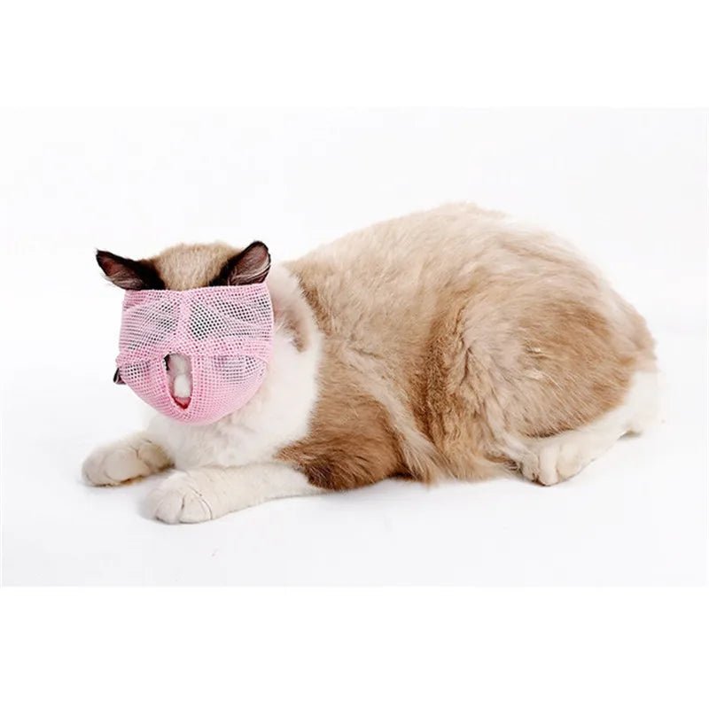 Cats muzzles - Mojo