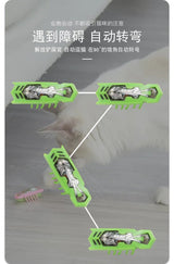 Pet Interactive Mini Electric Bug Cat Toy - Mojo