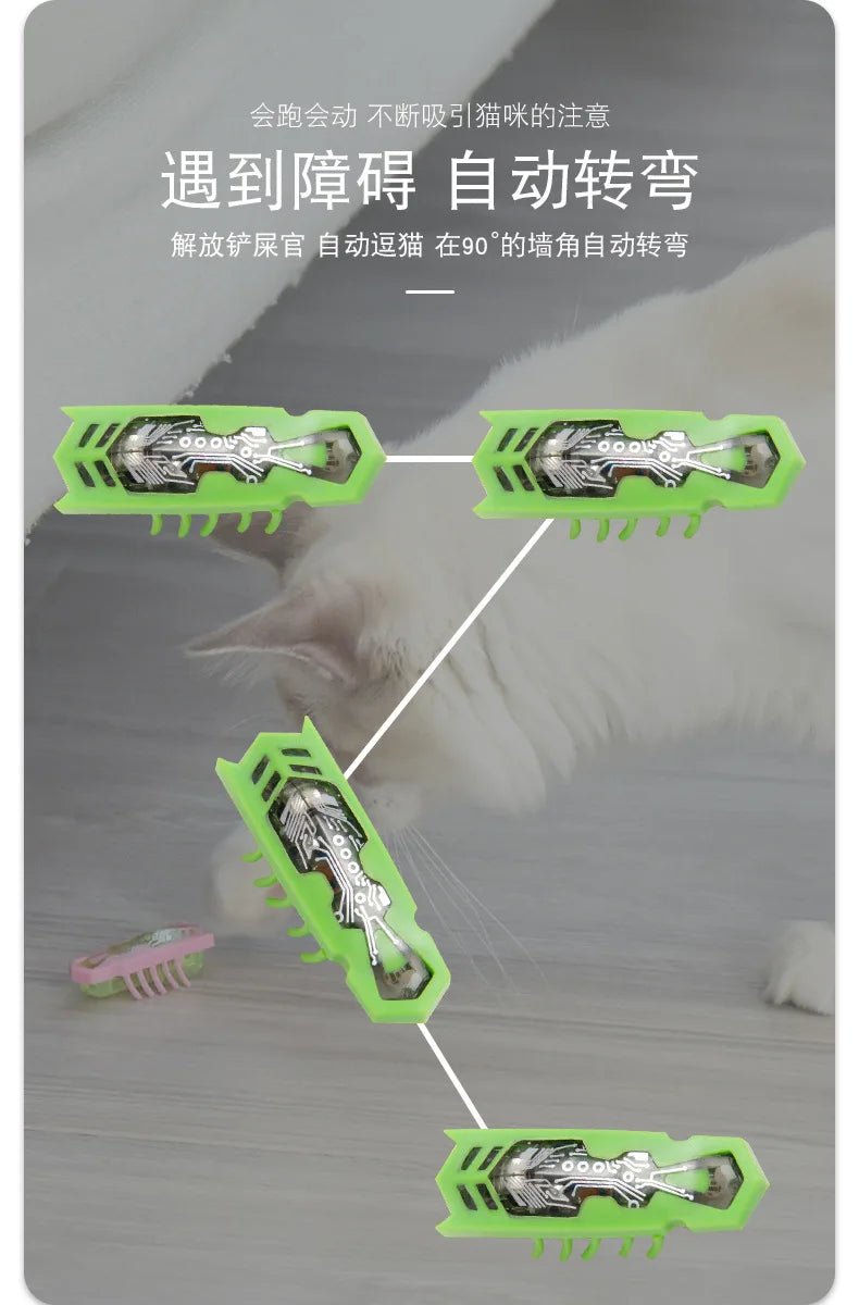 Pet Interactive Mini Electric Bug Cat Toy - Mojo