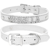 Puppy Dog Collars Personalized - Mojo
