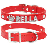 Puppy Dog Collars Personalized - Mojo
