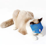 Cats muzzles - Mojo