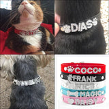 Puppy Dog Collars Personalized - Mojo