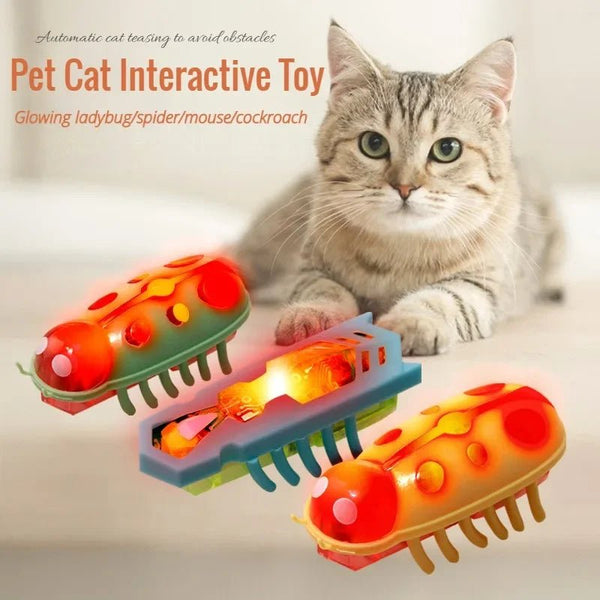 Pet Interactive Mini Electric Bug Cat Toy - Mojo