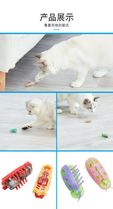Pet Interactive Mini Electric Bug Cat Toy - Mojo