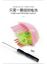 Pet Interactive Mini Electric Bug Cat Toy - Mojo