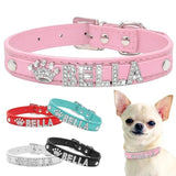 Puppy Dog Collars Personalized - Mojo