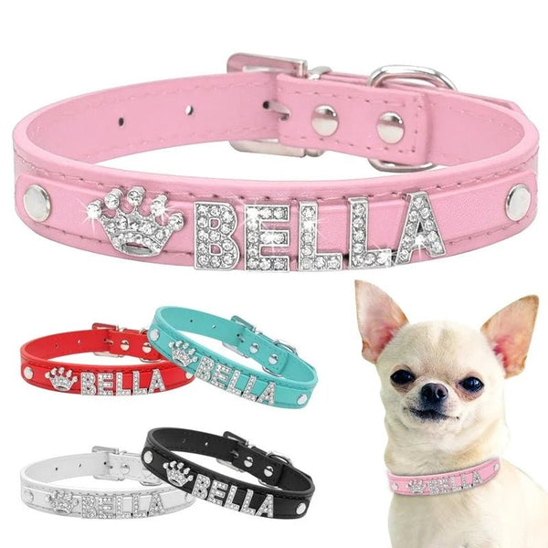 Puppy Dog Collars Personalized - Mojo