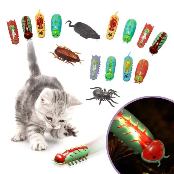 Pet Interactive Mini Electric Bug Cat Toy - Mojo