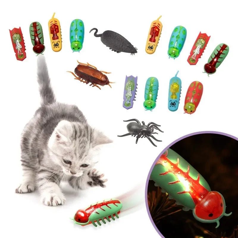 Pet Interactive Mini Electric Bug Cat Toy - Mojo