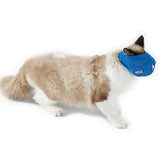 Cats muzzles - Mojo