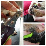 Dog Nail Clippers - Mojo