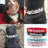 Puppy Dog Collars Personalized - Mojo