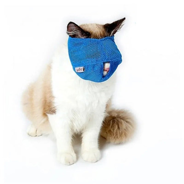 Cats muzzles - Mojo