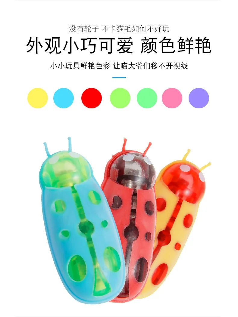 Pet Interactive Mini Electric Bug Cat Toy - Mojo