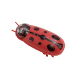 Pet Interactive Mini Electric Bug Cat Toy - Mojo