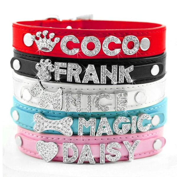 Puppy Dog Collars Personalized - Mojo