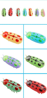 Pet Interactive Mini Electric Bug Cat Toy - Mojo