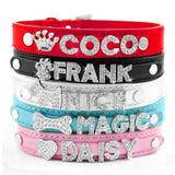 Puppy Dog Collars Personalized - Mojo
