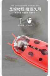 Pet Interactive Mini Electric Bug Cat Toy - Mojo