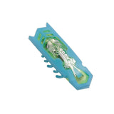 Pet Interactive Mini Electric Bug Cat Toy - Mojo