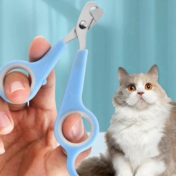 Puppy nail cutter - Mojo